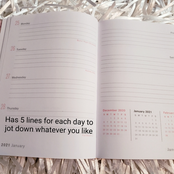 🆕️ NEW 18-Month Smarty Cats🐈 2020-2021 Planner - Picture 6 of 16